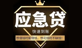 成都私借本地私借-成都私借贷款当天放款-成都私借私人身份证借私借