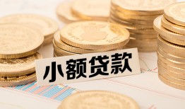 成都私借哪里有小额贷款-成都私借身份证贷款平台-成都私借民间短借